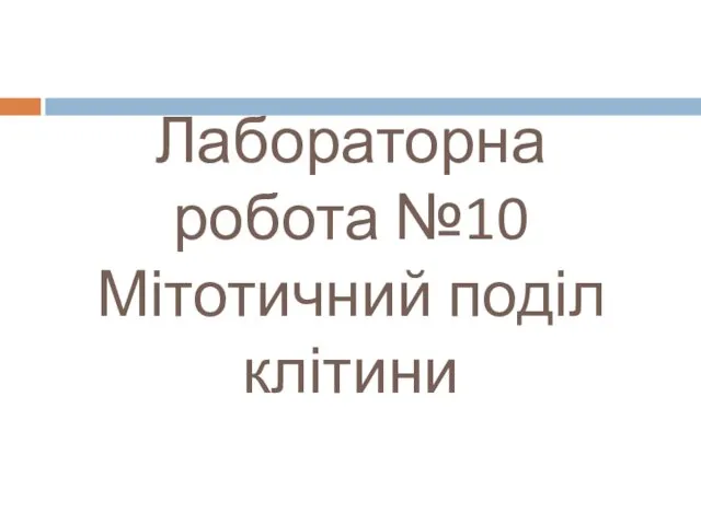 Лабораторна робота №10 Мітотичний поділ клітини