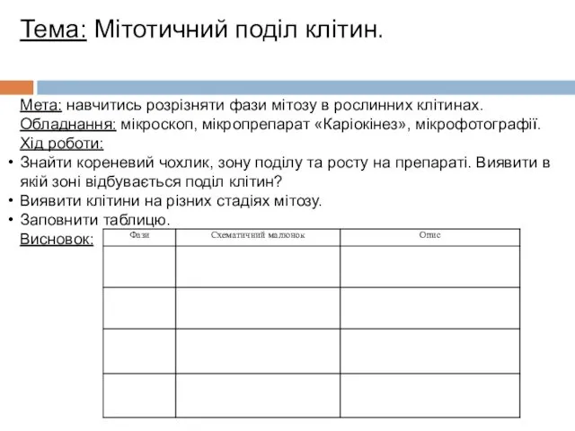 Тема: Мітотичний поділ клітин. Мета: навчитись розрізняти фази мітозу в