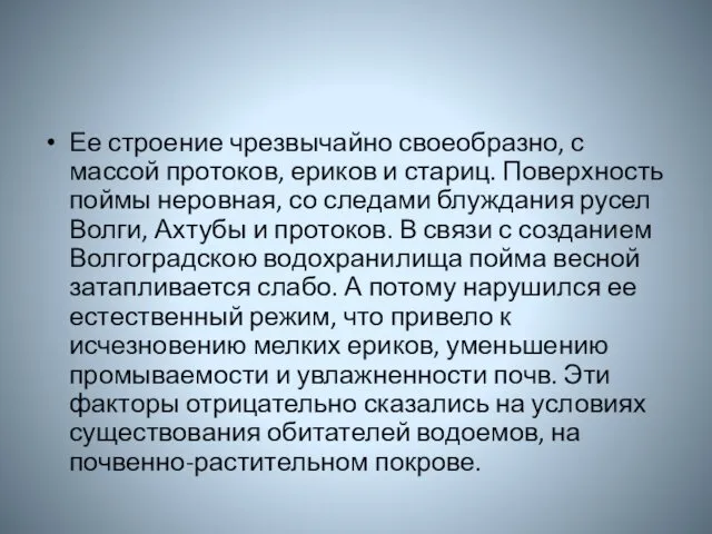 Ее строение чрезвычайно своеобразно, с массой протоков, ериков и стариц.