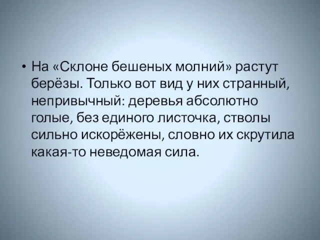 На «Склоне бешеных молний» растут берёзы. Только вот вид у