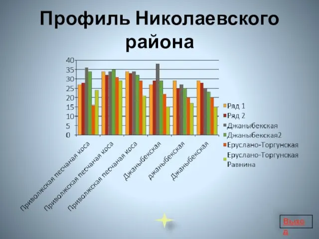 Профиль Николаевского района Выход