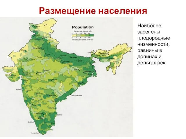 Размещение населения Наиболее заселены плодородные низменности, равнины в долинах и дельтах рек.