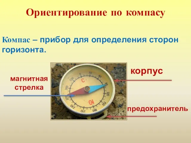 Ориентирование по компасу Компас – прибор для определения сторон горизонта. предохранитель магнитная стрелка корпус