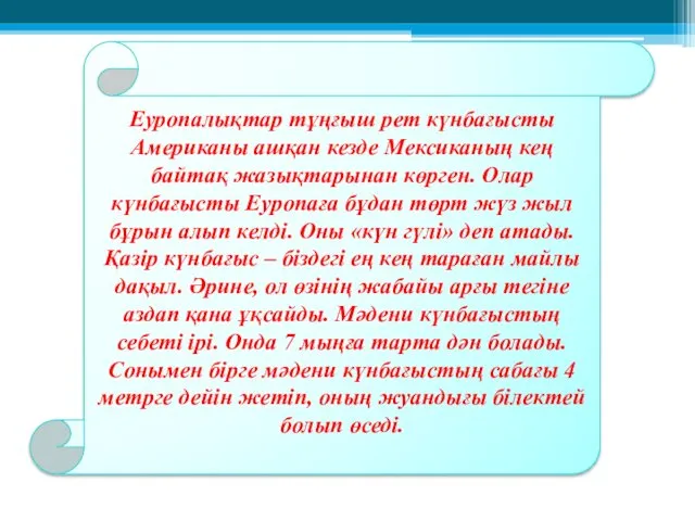 Еуропалықтар тұңғыш рет күнбағысты Американы ашқан кезде Мексиканың кең байтақ