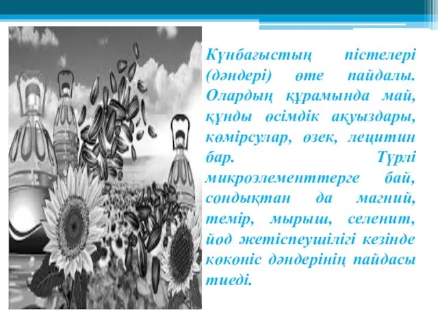 Күнбағыстың пістелері (дәндері) өте пайдалы. Олардың құрамында май, құнды өсімдік ақуыздары, көмірсулар, өзек,