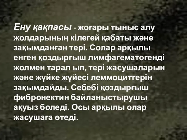 Ену қақпасы - жоғары тыныс алу жолдарының кілегей қабаты және