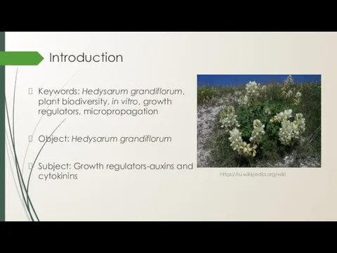 Introduction Keywords: Hedysarum grandiflorum, plant biodiversity, in vitro, growth regulators,