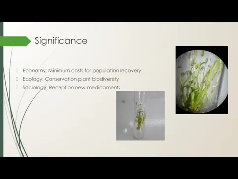 Significance Economy: Minimum costs for population recovery Ecology: Conservation plant biodiversity Sociology: Reception new medicaments