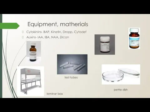 Equipment, matherials Cytokinins- BAP, Kinetin, Dropp, Cytodef Auxins- IАA, IBA,