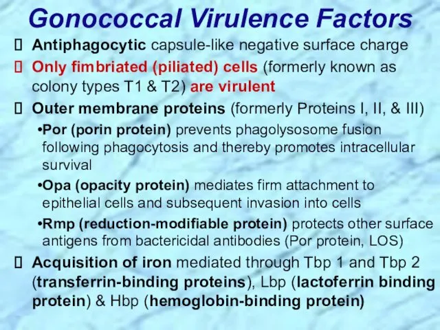 Antiphagocytic capsule-like negative surface charge Only fimbriated (piliated) cells (formerly