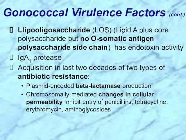 Llipooligosaccharide (LOS) (Lipid A plus core polysaccharide but no O-somatic