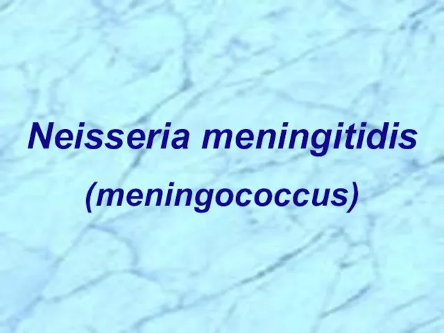 Neisseria meningitidis (meningococcus)