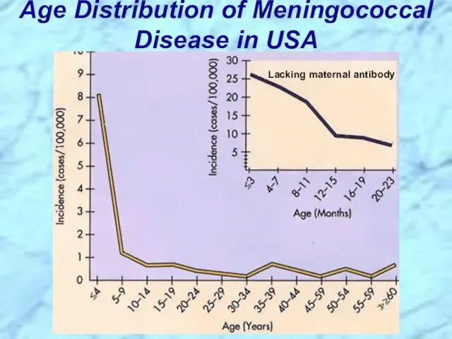 Age Distribution of Meningococcal Disease in USA Lacking maternal antibody