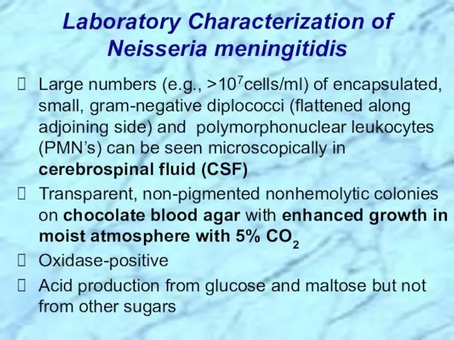 Large numbers (e.g., >107cells/ml) of encapsulated, small, gram-negative diplococci (flattened