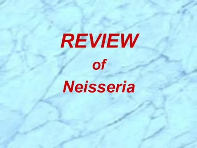 REVIEW of Neisseria
