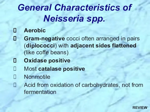 Aerobic Gram-negative cocci often arranged in pairs (diplococci) with adjacent sides flattened (like