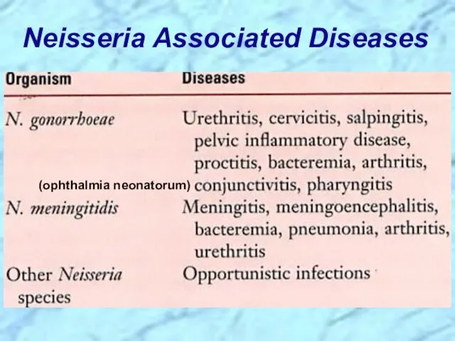 Neisseria Associated Diseases (ophthalmia neonatorum)