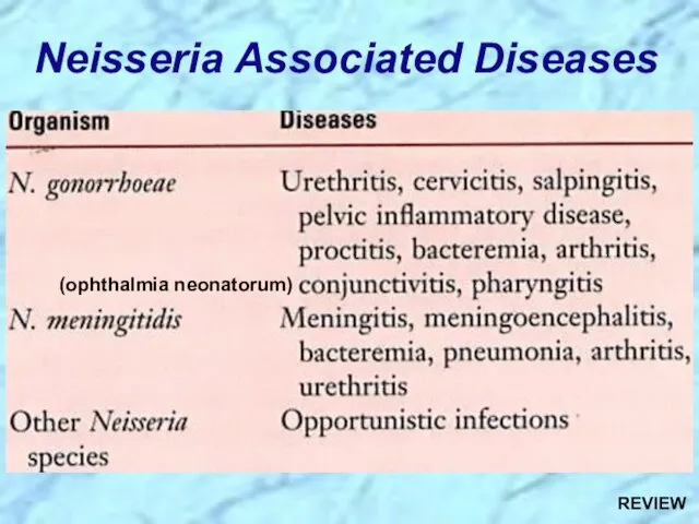 Neisseria Associated Diseases (ophthalmia neonatorum) REVIEW