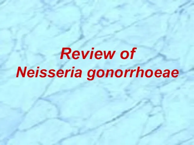 Review of Neisseria gonorrhoeae