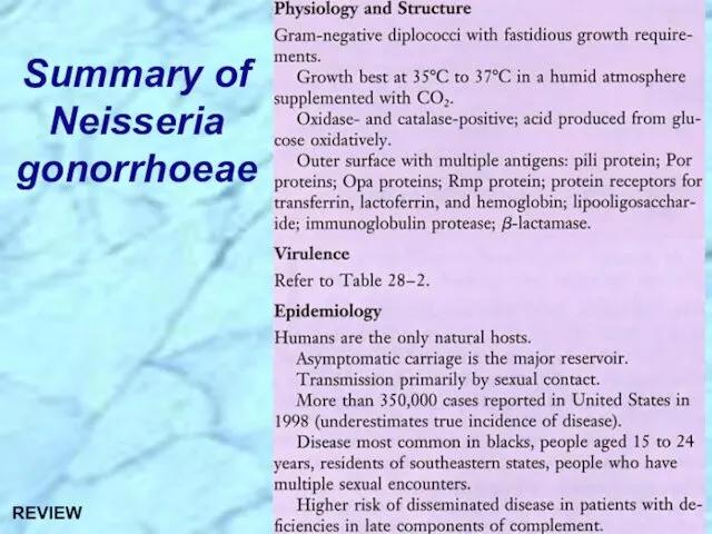 Summary of Neisseria gonorrhoeae REVIEW