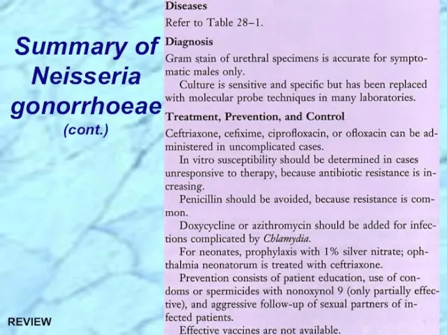 Summary of Neisseria gonorrhoeae (cont.) REVIEW