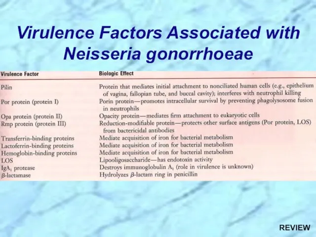 REVIEW Virulence Factors Associated with Neisseria gonorrhoeae