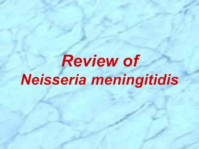 Review of Neisseria meningitidis