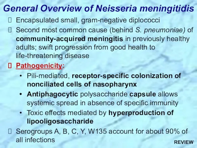 Encapsulated small, gram-negative diplococci Second most common cause (behind S.