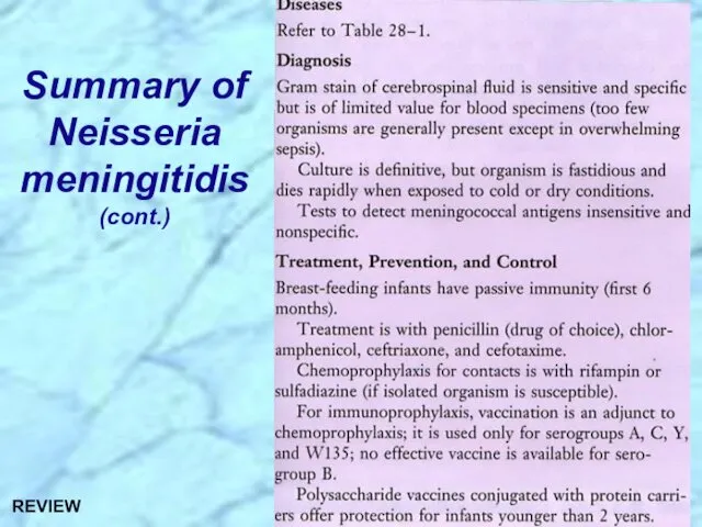 Summary of Neisseria meningitidis (cont.) REVIEW