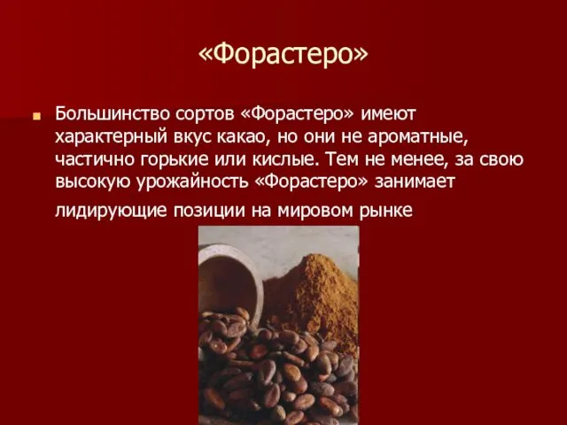 «Форастеро» Большинство сортов «Форастеро» имеют характерный вкус какао, но они