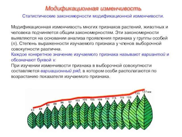 Статистические закономерности модификационной изменчивости. Модификационная изменчивость многих признаков растений, животных