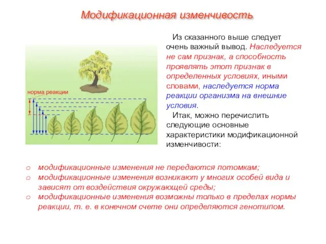 Из сказанного выше следует очень важный вывод. Наследуется не сам