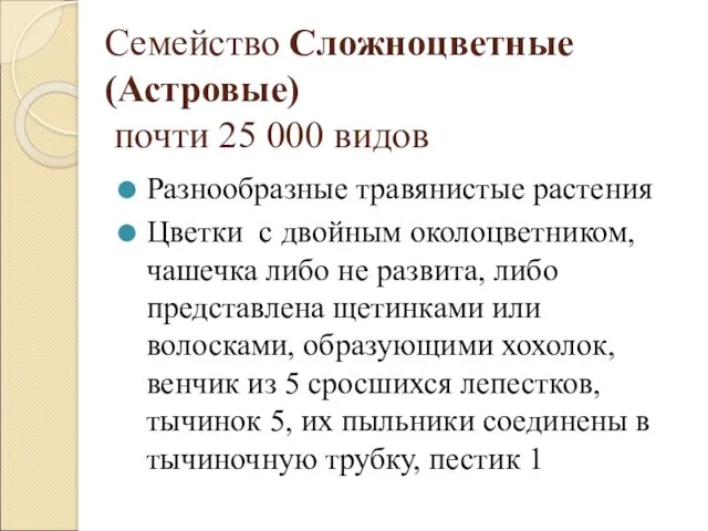 Семейство Сложноцветные (Астровые) почти 25 000 видов Разнообразные травянистые растения