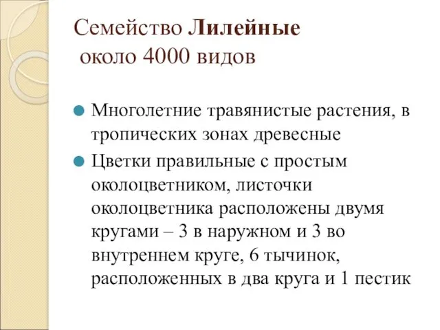 Семейство Лилейные около 4000 видов Многолетние травянистые растения, в тропических