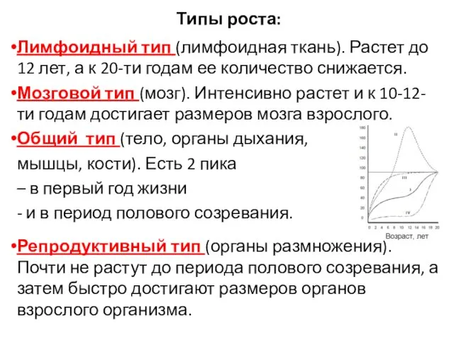 Типы роста: Лимфоидный тип (лимфоидная ткань). Растет до 12 лет,