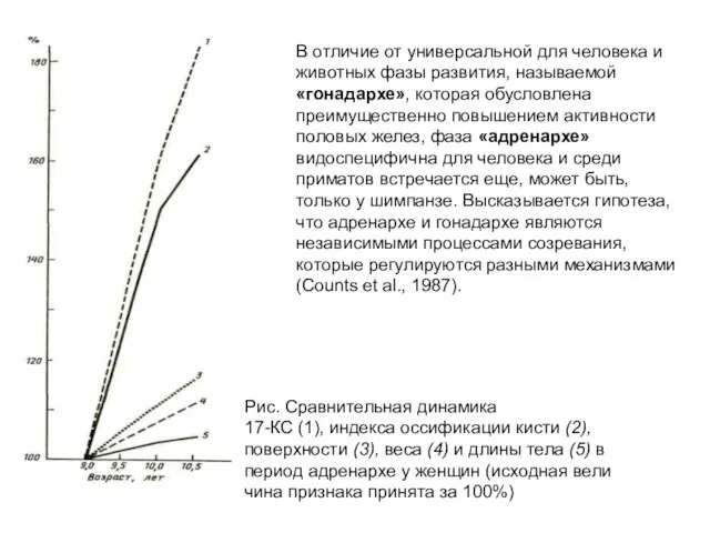 Рис. Сравнительная динамика 17-КС (1), индекса оссификации кисти (2), поверхности