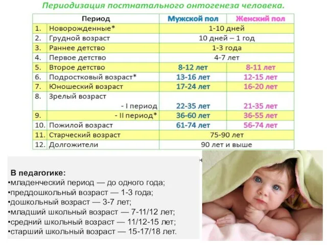 В педагогике: младенческий период — до одного года; преддошкольный возраст