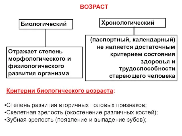 ВОЗРАСТ Биологический Хронологический Отражает степень морфологического и физиологического развития организма