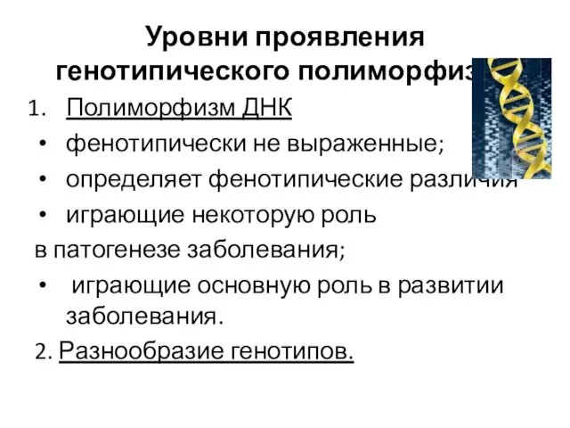 Уровни проявления генотипического полиморфизма Полиморфизм ДНК фенотипически не выраженные; определяет