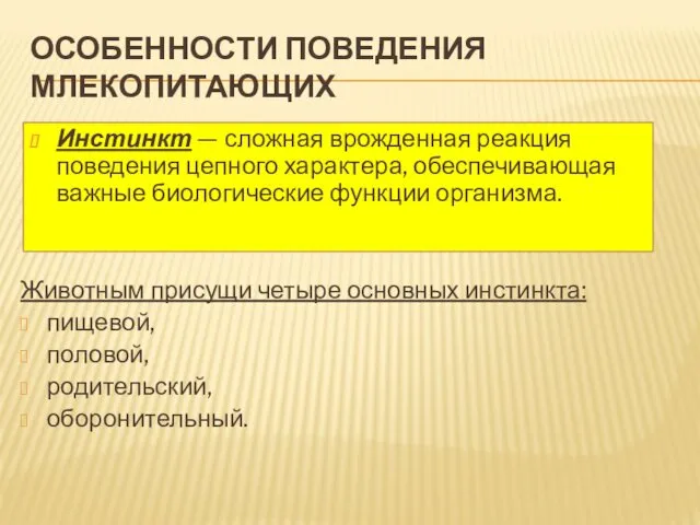 ОСОБЕННОСТИ ПОВЕДЕНИЯ МЛЕКОПИТАЮЩИХ Инстинкт — сложная врожденная реакция поведения цепного