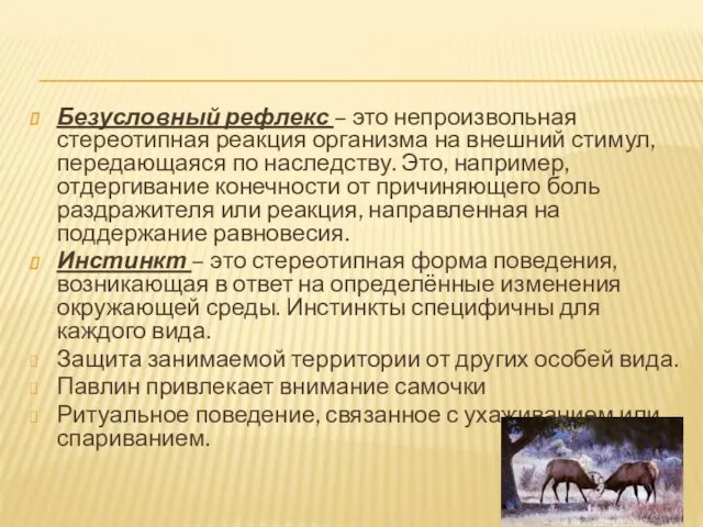 Безусловный рефлекс – это непроизвольная стереотипная реакция организма на внешний