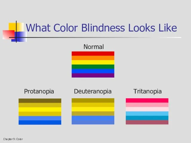 Chapter 9: Color What Color Blindness Looks Like Normal Protanopia Deuteranopia Tritanopia