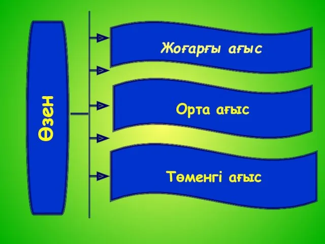 Жоғарғы ағыс Орта ағыс Төменгі ағыс Өзен