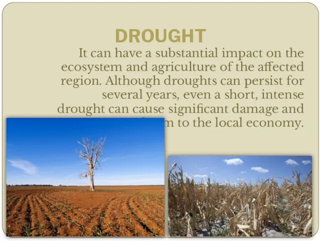 DROUGHT It can have a substantial impact on the ecosystem and agriculture of