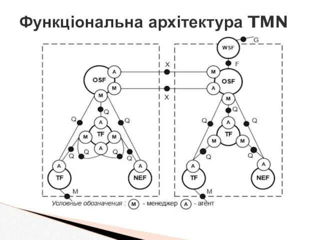 Функціональна архітектура TMN