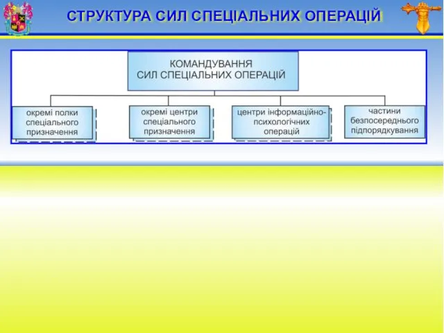 СТРУКТУРА СИЛ СПЕЦІАЛЬНИХ ОПЕРАЦІЙ