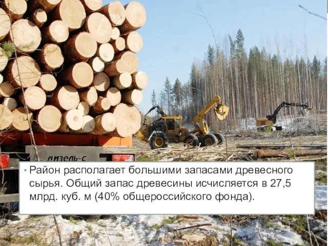 Район располагает большими запасами древесного сырья. Общий запас древесины исчисляется в 27,5 млрд.