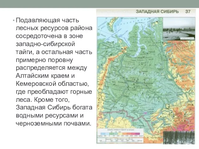 Подавляющая часть лесных ресурсов района сосредоточена в зоне западно-сибирской тайги, а остальная часть