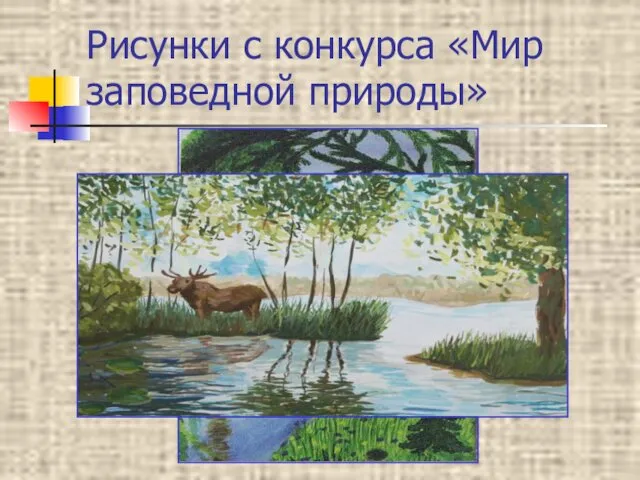 Рисунки с конкурса «Мир заповедной природы»