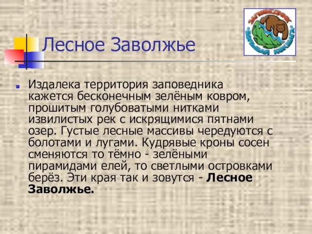 Лесное Заволжье Издалека территория заповедника кажется бесконечным зелёным ковром, прошитым